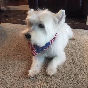 Meet your Posher, Theresa